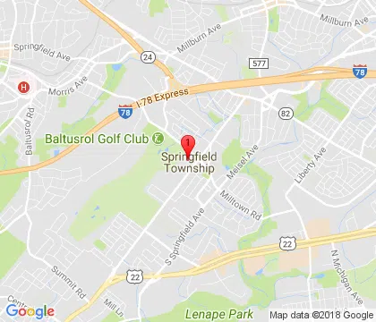 logo-image - springfield-township-nj